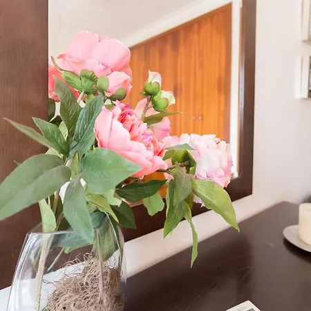 Apartamento Praia São Martinho do Porto