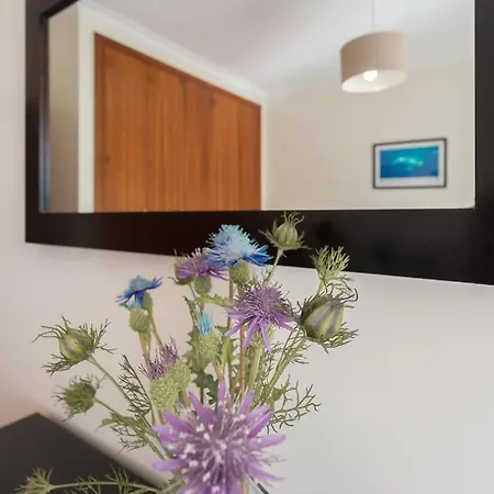 Apartamento Praia São Martinho do Porto Apartamento São Martinho do Porto