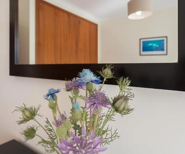 Apartamento Praia São Martinho do Porto Apartamento São Martinho do Porto